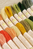 Eco Vita Collectors Box - 30 Skeins