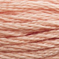 DMC Stranded Thread 3771