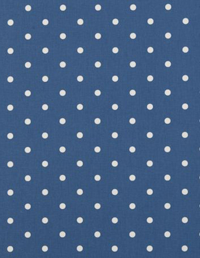 Oilcloth Dotty Denim