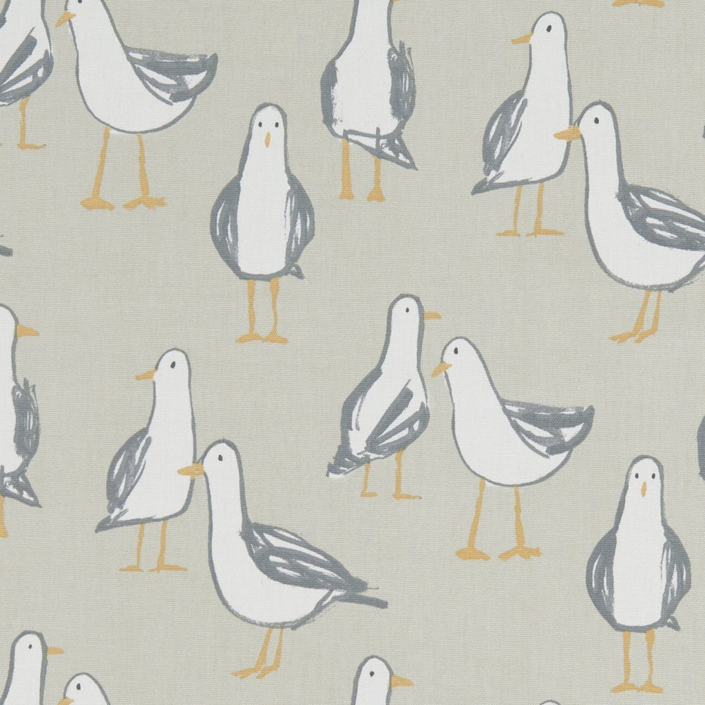 Laridae Taupe